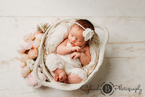 Syracuse Newborn Photographer