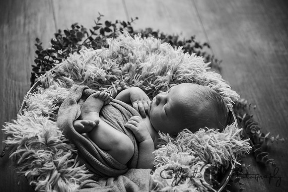 Syracuse Newborn Photographer