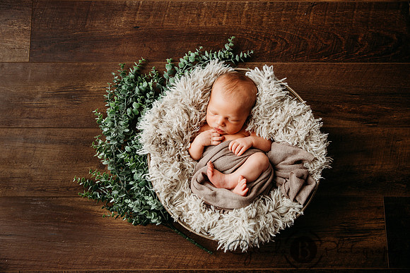 Syracuse Newborn Photographer