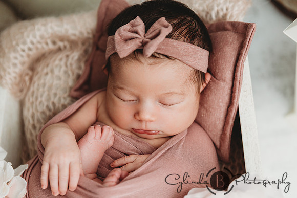 Syracuse Newborn Photographer