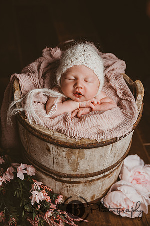 Syracuse Newborn Photographer