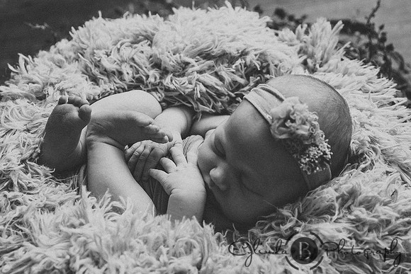 Syracuse Newborn Photographer