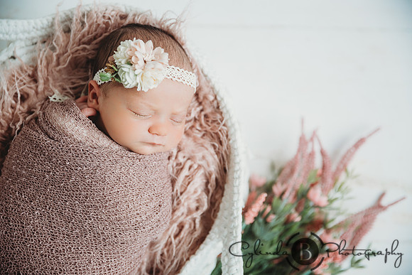 Syracuse Newborn Photographer