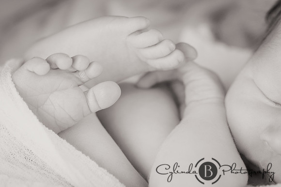 cylinda b photography, newborn, photos, syracuse, ny,