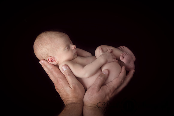Syracuse Newborn Photography,  Syracuse, photography