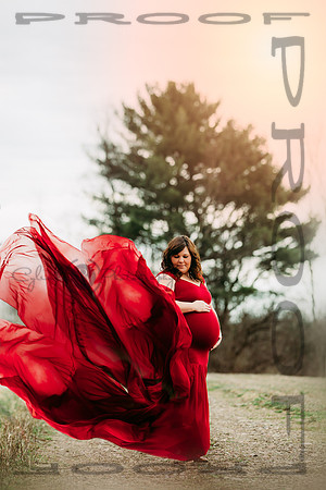 4.11.22_Katrina_Matt_Maternity-1