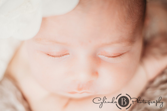 Syracuse Newborn Photographer