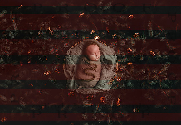 2.28.25_Cole_Newborn-2
