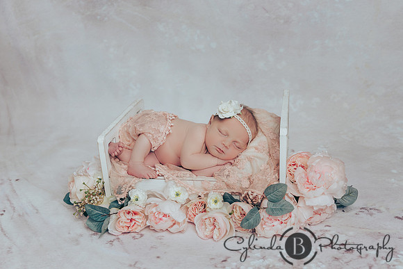 Syracuse Newborn Photographer