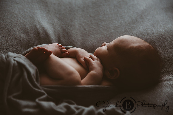 Syracuse Newborn Photographer